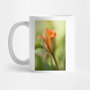 Tulip Mug